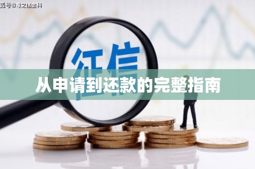 太子河从申请到还款的完整指南
