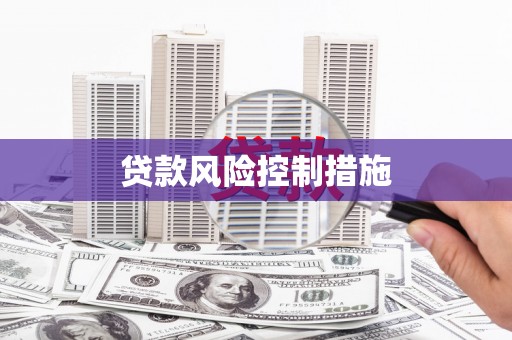 太子河贷款风险控制措施