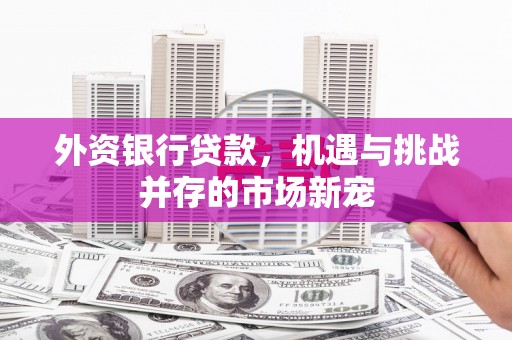 太子河外资银行贷款，机遇与挑战并存的市场新宠