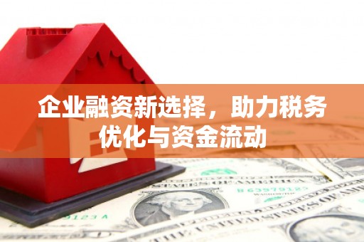 太子河企业融资新选择，助力税务优化与资金流动