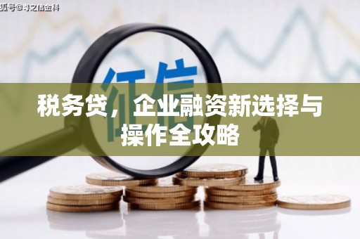 太子河税务贷，企业融资新选择与操作全攻略