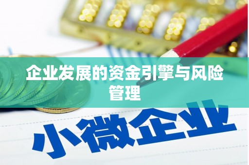 太子河企业发展的资金引擎与风险管理