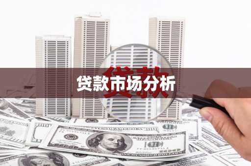 太子河贷款市场分析
