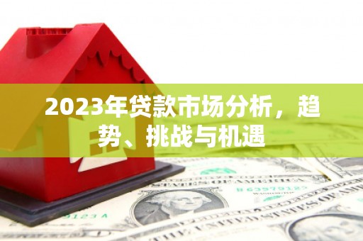 太子河2023年贷款市场分析，趋势、挑战与机遇