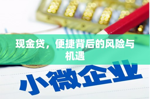 太子河现金贷，便捷背后的风险与机遇