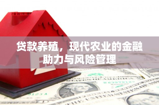 太子河贷款养殖，现代农业的金融助力与风险管理