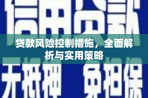 太子河贷款风险控制措施，全面解析与实用策略
