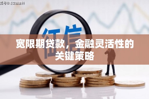 太子河宽限期贷款，金融灵活性的关键策略