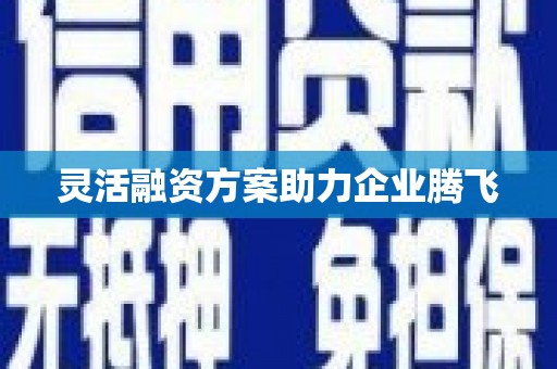 太子河灵活融资方案助力企业腾飞