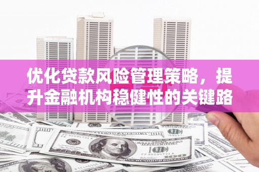 太子河优化贷款风险管理策略，提升金融机构稳健性的关键路径
