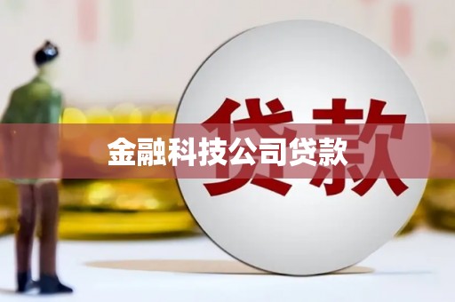 太子河金融科技公司贷款