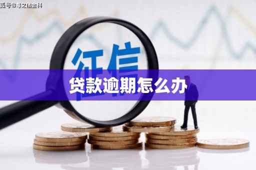 太子河贷款逾期怎么办