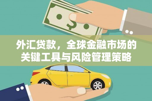 太子河外汇贷款，全球金融市场的关键工具与风险管理策略