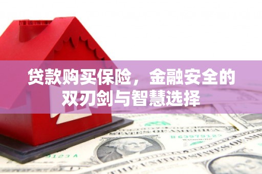 太子河贷款购买保险，金融安全的双刃剑与智慧选择