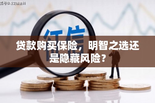 太子河贷款购买保险，明智之选还是隐藏风险？