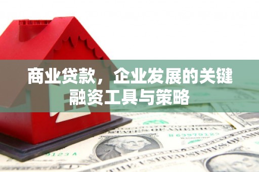 太子河商业贷款，企业发展的关键融资工具与策略