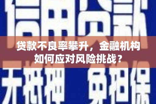 太子河贷款不良率攀升，金融机构如何应对风险挑战？