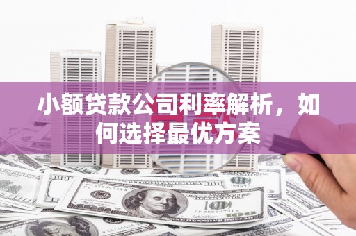 太子河小额贷款公司利率解析，如何选择最优方案