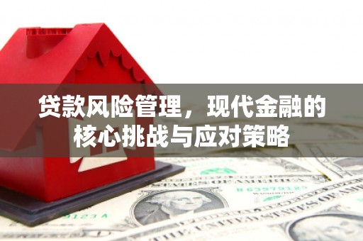 太子河贷款风险管理，现代金融的核心挑战与应对策略