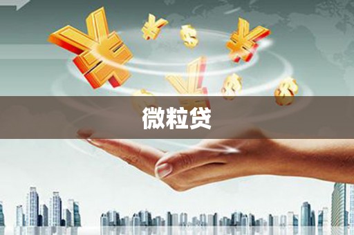 太子河微粒贷