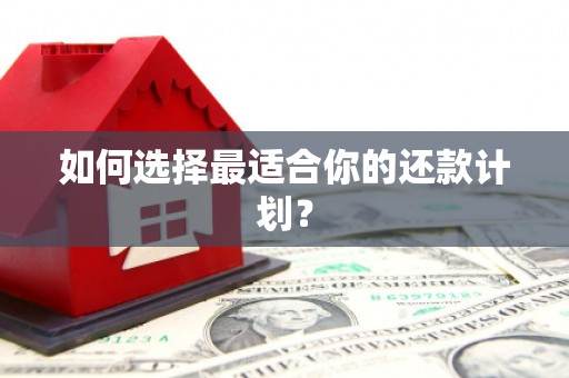 太子河如何选择最适合你的还款计划？