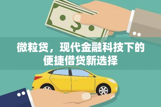 太子河微粒贷，现代金融科技下的便捷借贷新选择