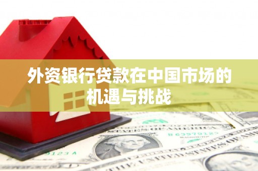 太子河外资银行贷款在中国市场的机遇与挑战