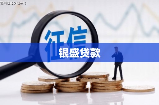太子河银盛贷款