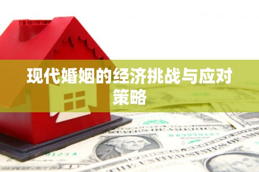 太子河现代婚姻的经济挑战与应对策略