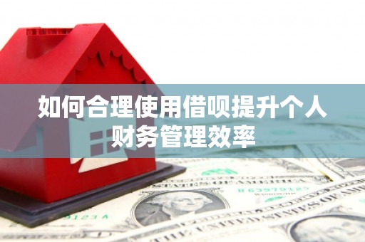 太子河如何合理使用借呗提升个人财务管理效率