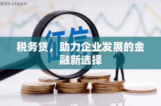 太子河税务贷，助力企业发展的金融新选择