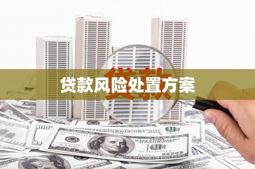 太子河贷款风险处置方案
