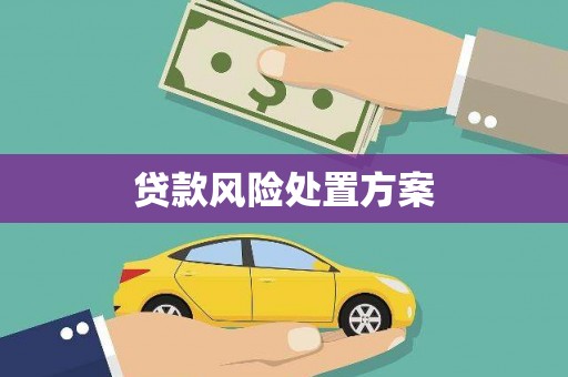 太子河贷款风险处置方案