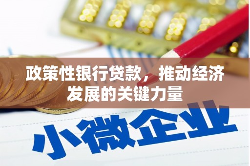 太子河政策性银行贷款，推动经济发展的关键力量