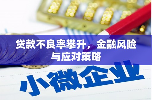 太子河贷款不良率攀升，金融风险与应对策略