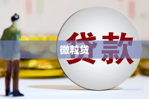 太子河微粒贷