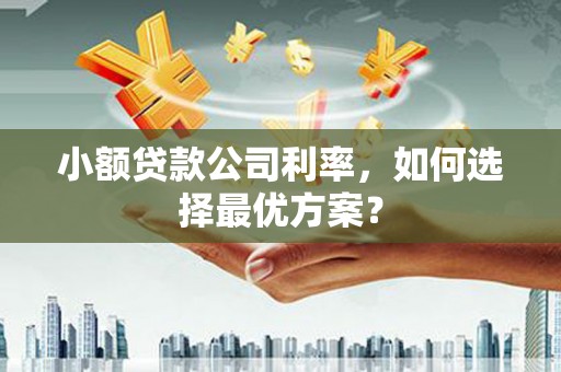 太子河小额贷款公司利率，如何选择最优方案？