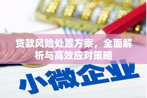 太子河贷款风险处置方案，全面解析与高效应对策略