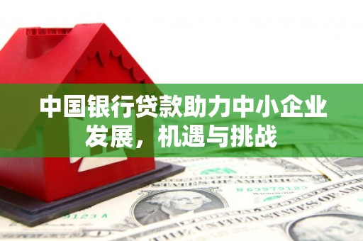 太子河中国银行贷款助力中小企业发展，机遇与挑战
