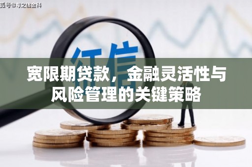 太子河宽限期贷款，金融灵活性与风险管理的关键策略