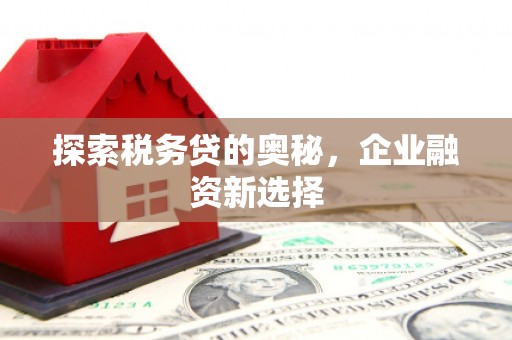 太子河探索税务贷的奥秘，企业融资新选择