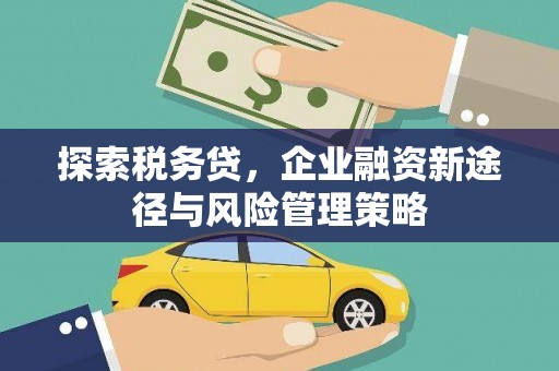 太子河探索税务贷，企业融资新途径与风险管理策略