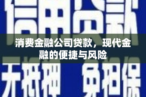 太子河消费金融公司贷款，现代金融的便捷与风险