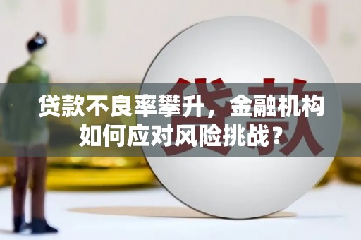 太子河贷款不良率攀升，金融机构如何应对风险挑战？