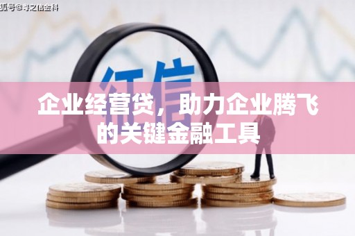 太子河企业经营贷，助力企业腾飞的关键金融工具