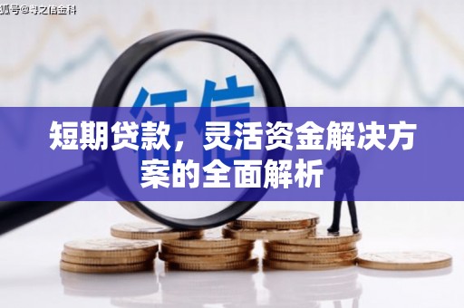太子河短期贷款，灵活资金解决方案的全面解析