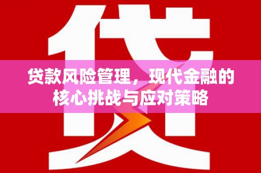 太子河贷款风险管理，现代金融的核心挑战与应对策略
