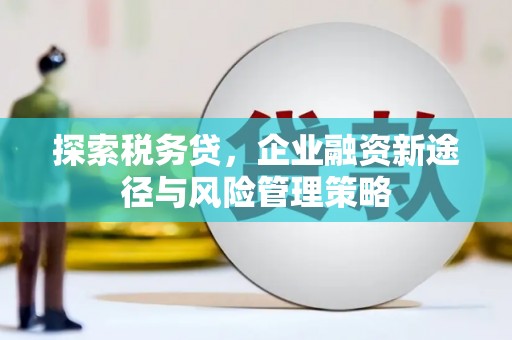 太子河探索税务贷，企业融资新途径与风险管理策略