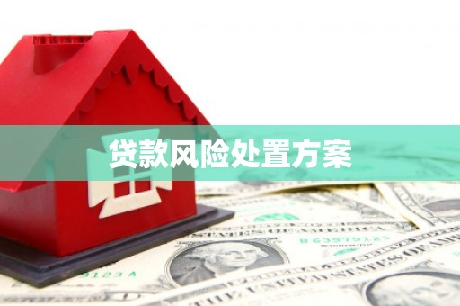 太子河贷款风险处置方案