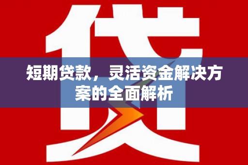 太子河短期贷款，灵活资金解决方案的全面解析